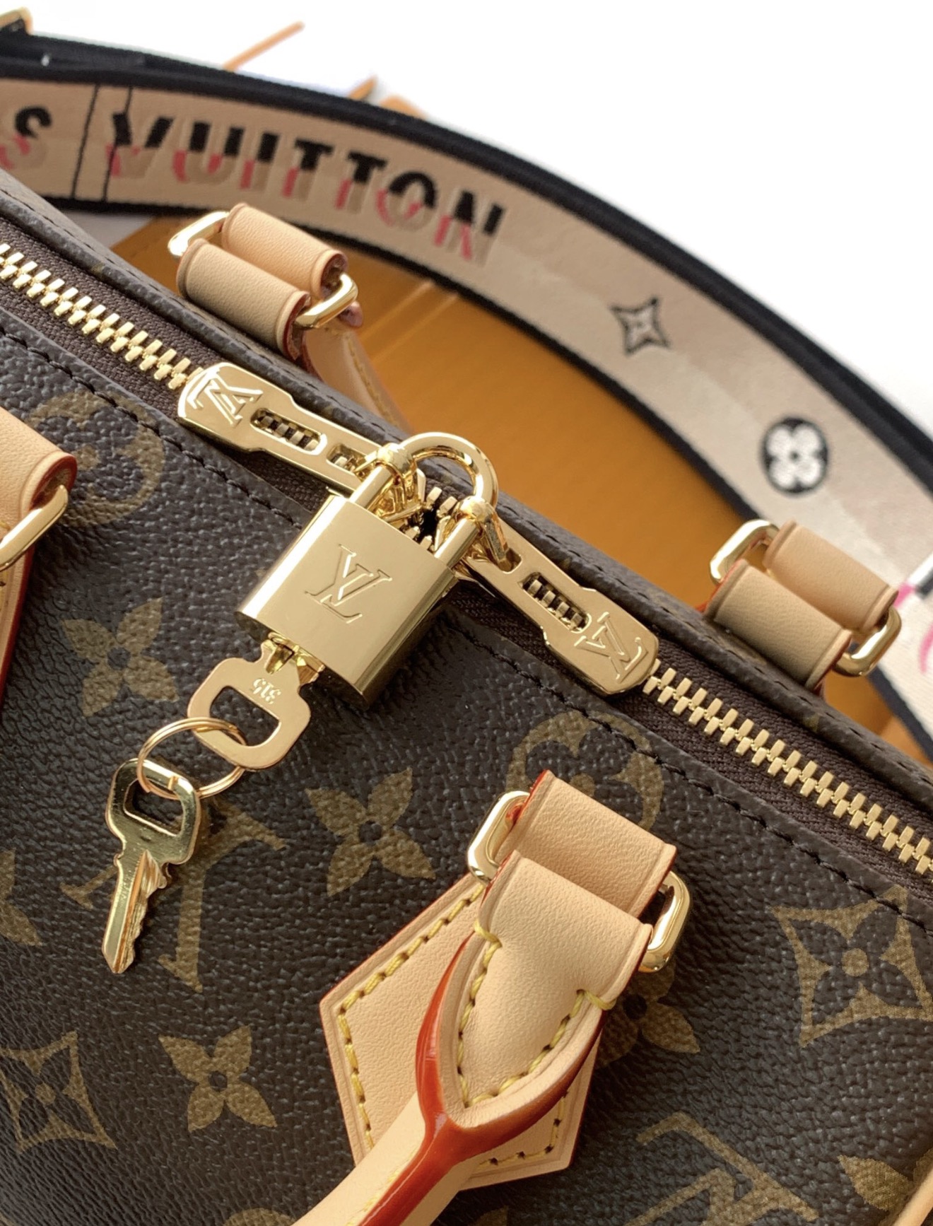 Louis Vuitton Speedy Bandoulière 20 Monogram Canvas Handbag with Embroidered Strap - 图片 7