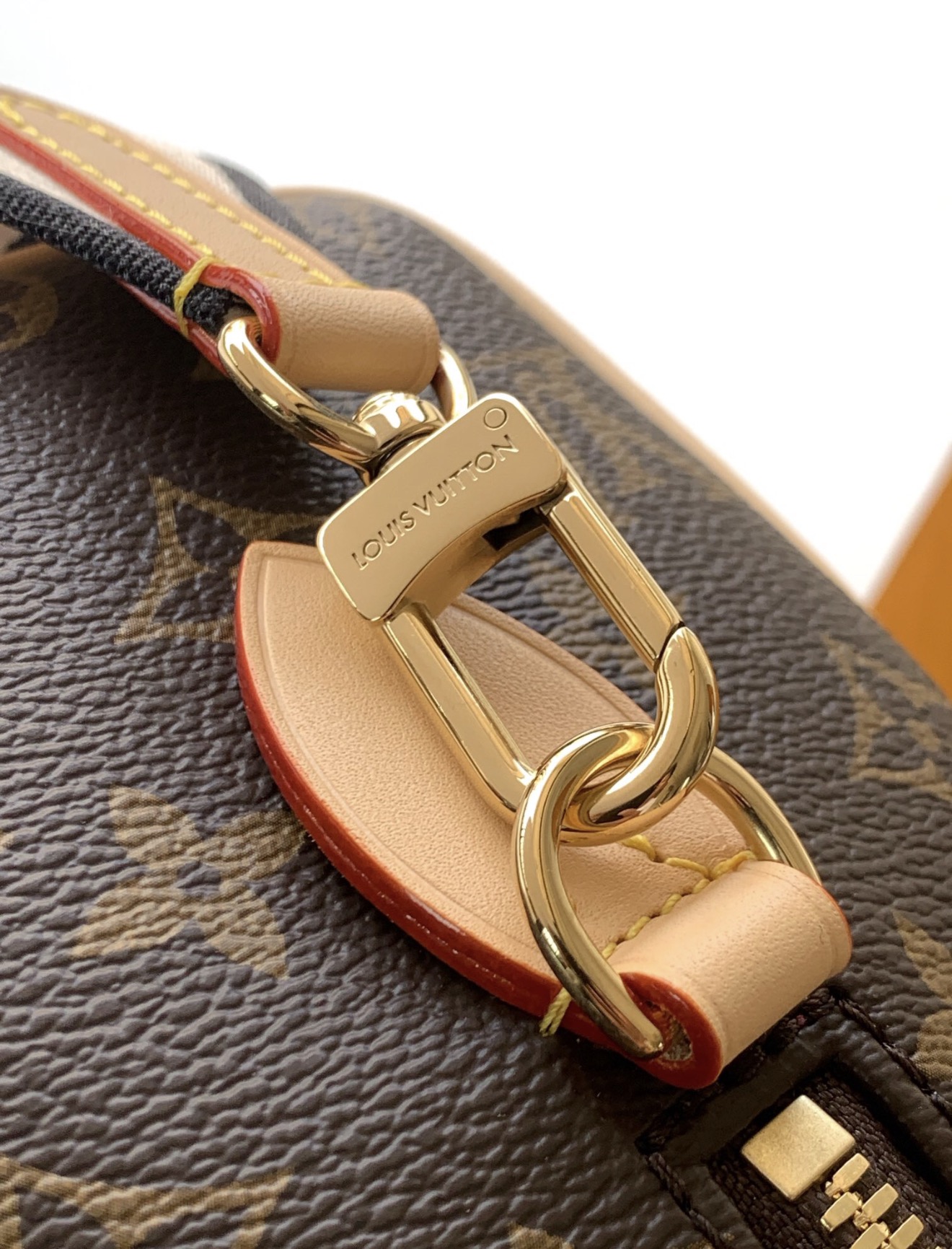 Louis Vuitton Speedy Bandoulière 20 Monogram Canvas Handbag with Embroidered Strap - 图片 8