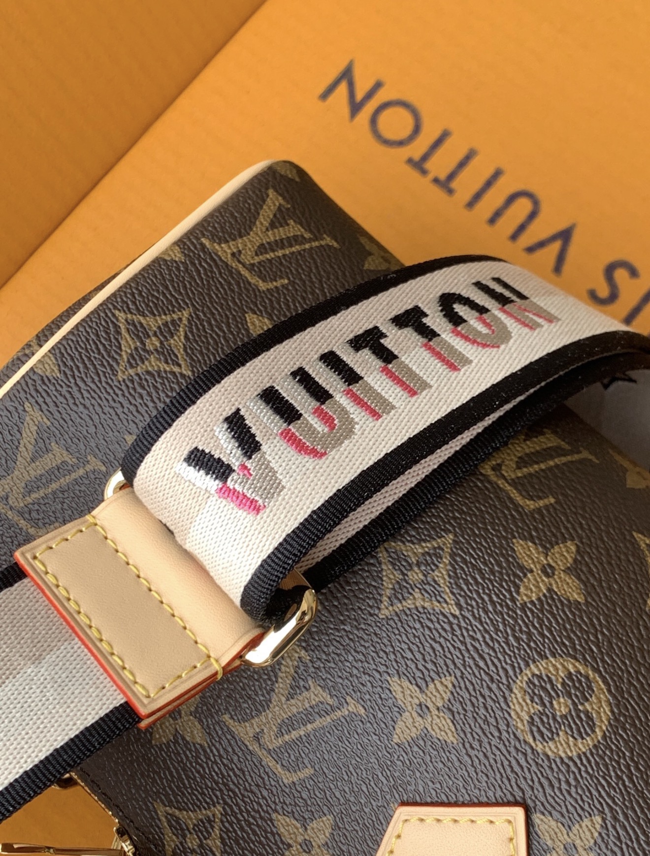 Louis Vuitton Speedy Bandoulière 20 Monogram Canvas Handbag with Embroidered Strap - 图片 9